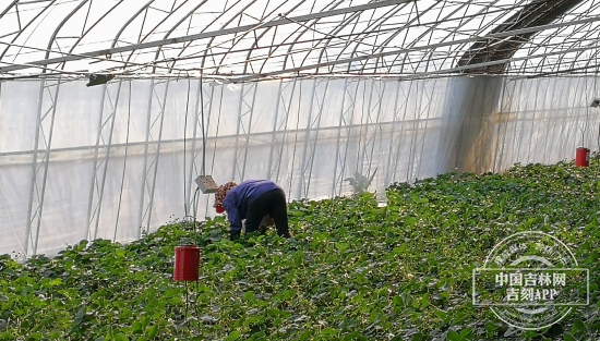 微信图片_20190507122611.jpg 微信图片_20190507122611.jpg