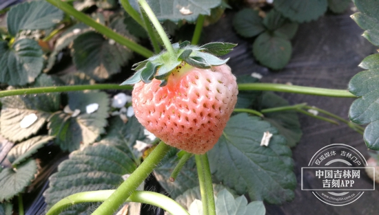 微信图片_20190507122606.jpg 微信图片_20190507122606.jpg