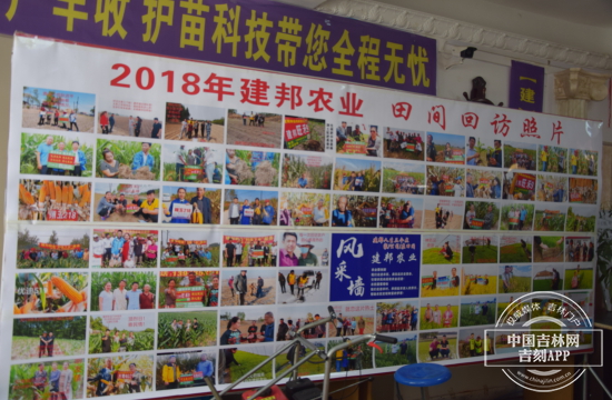 DSC_0331_wps图片.JPG