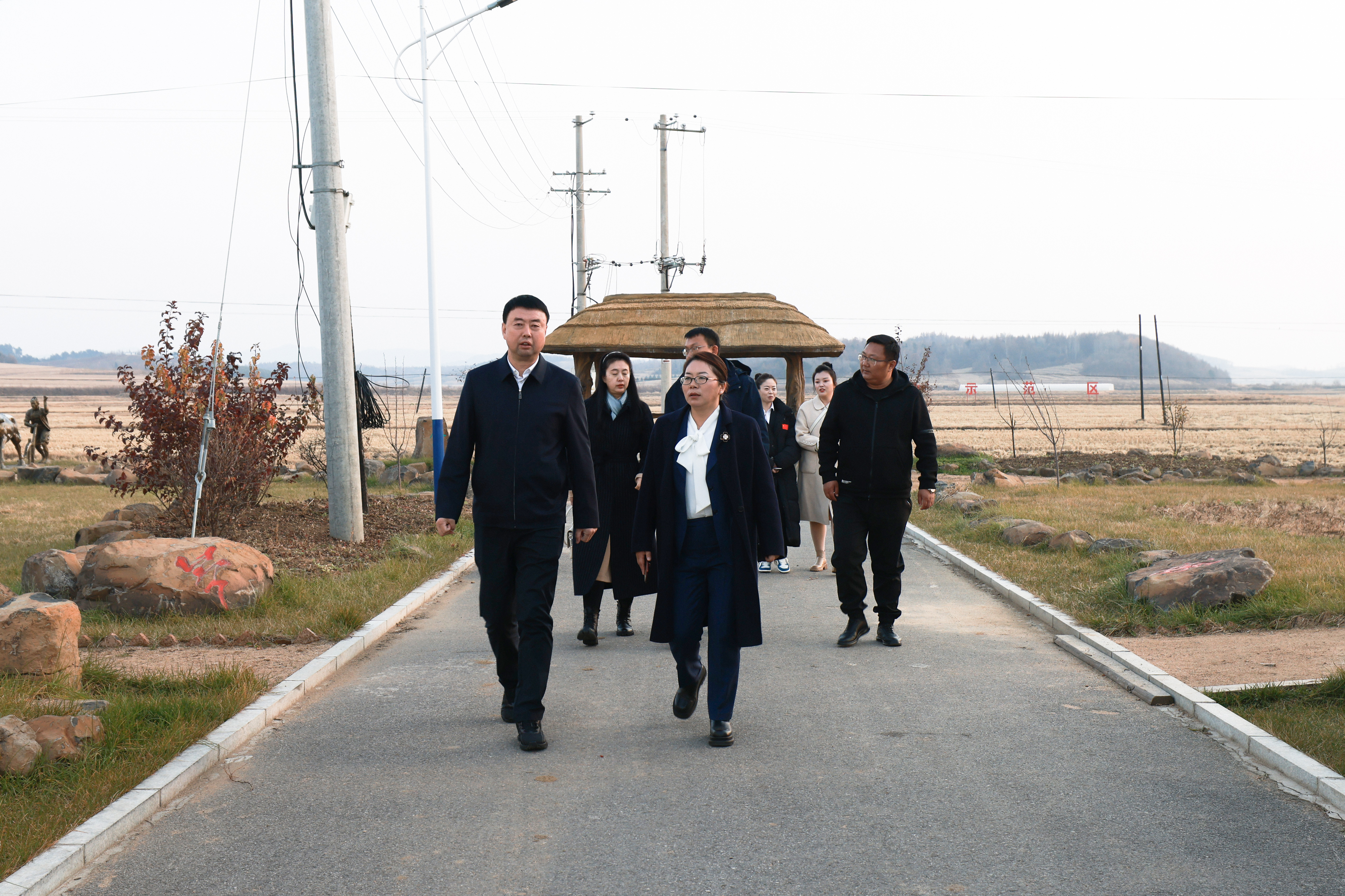 梅河口市委常委周君深入梅河口水道镇,小杨乡督导工作